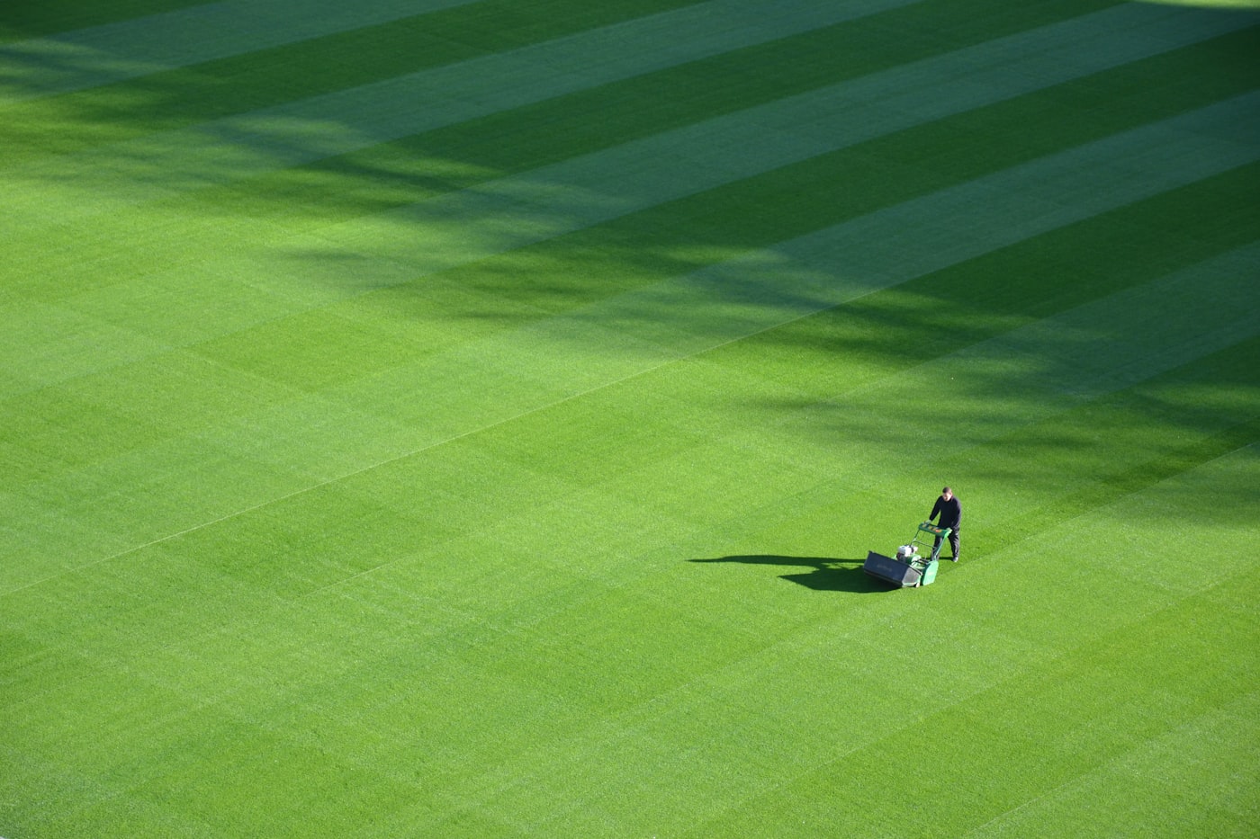 Freshly striped lawn